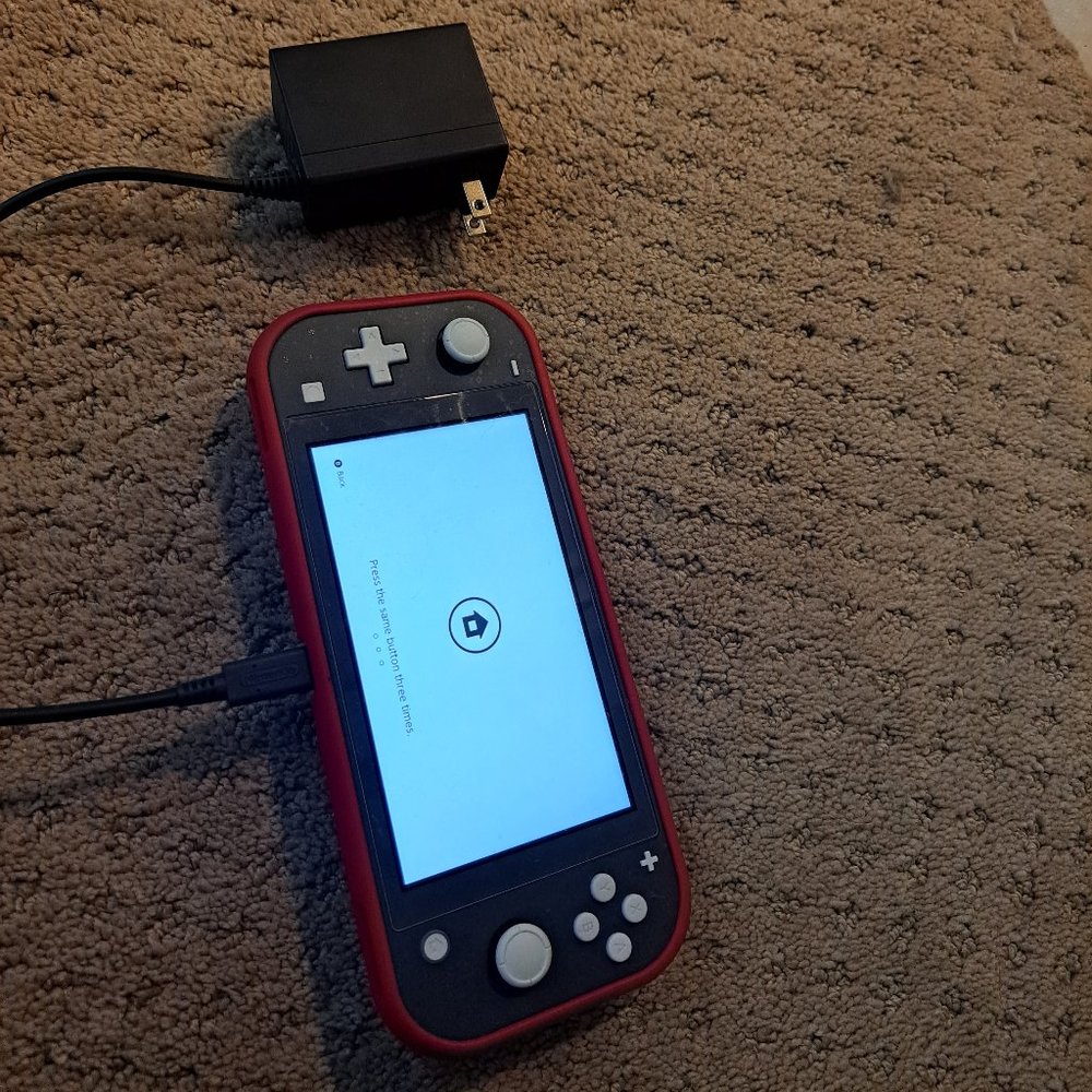 Nintendo switch lite with screen protector and case